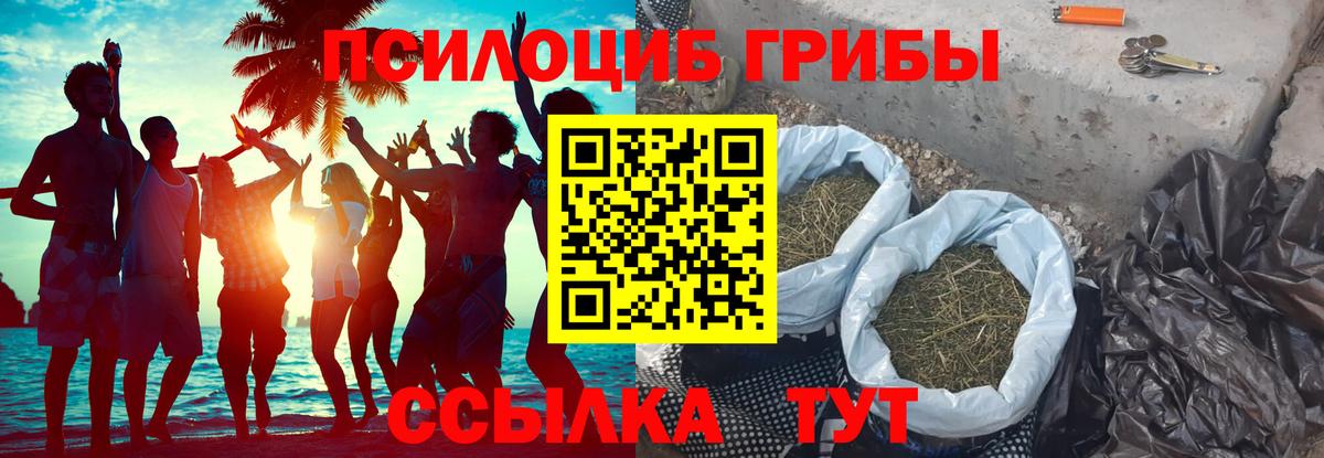 Галлюциногенные грибы Magic Shrooms Чехов