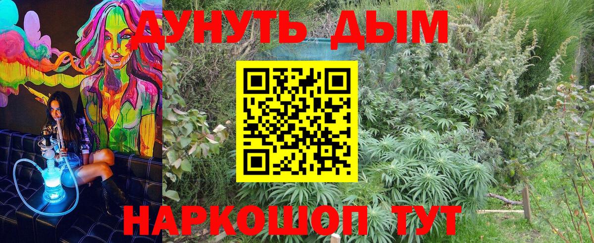 Канабис LSD WEED  Вход с VPN  Чехов  Бошки Шишки Ganja  Канабис сатива 